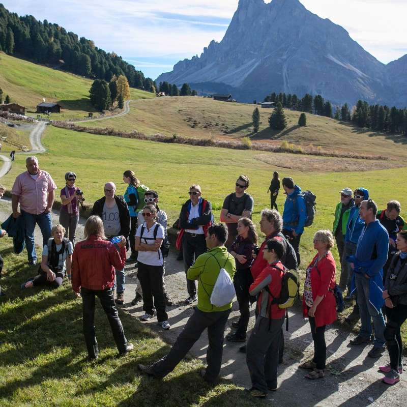 das-bergfestival-4.jpg