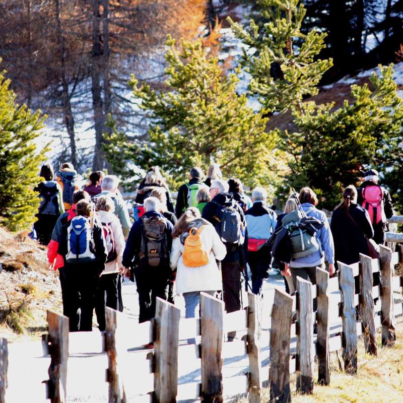 das-bergfestival-10.jpg