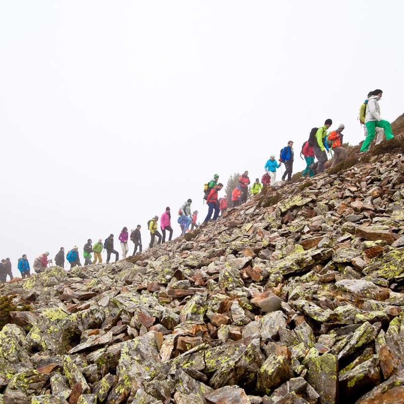 das-bergfestival-17.jpg