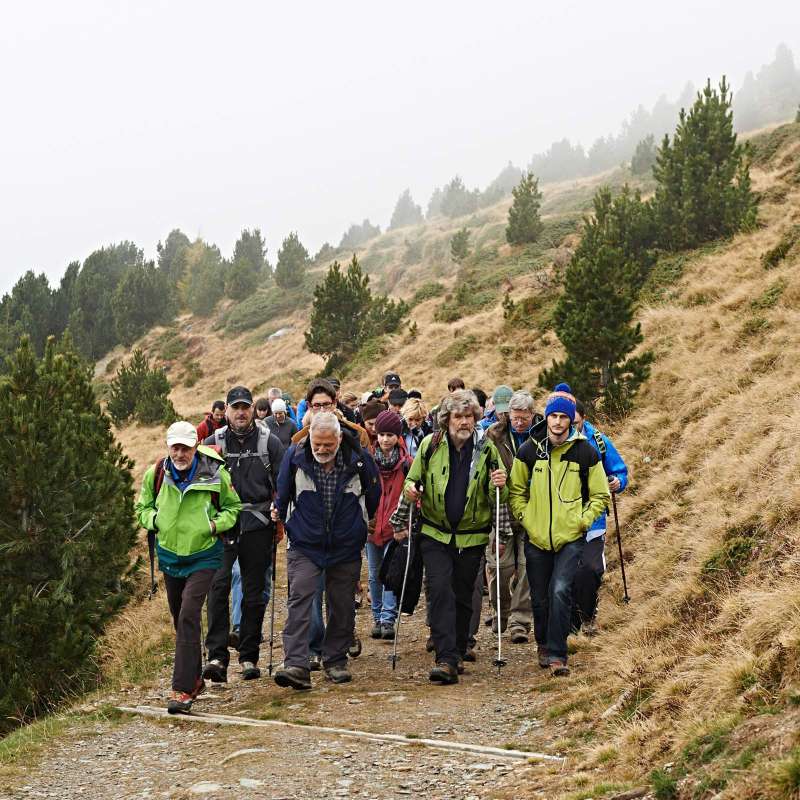das-bergfestival-5.jpg